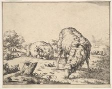 Sheep, from a set of 16 plates, 1664. Creator: Marcus de Bye