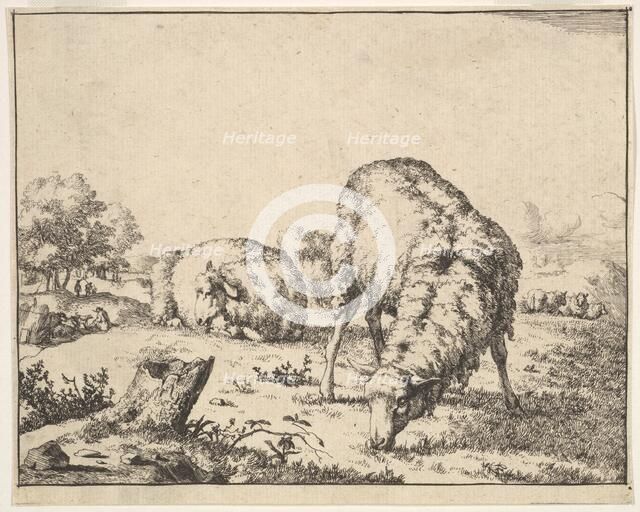 Sheep, from a set of 16 plates, 1664. Creator: Marcus de Bye.