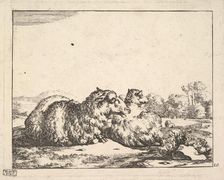 Sheep, from a set of 16 plates, 1664. Creator: Marcus de Bye