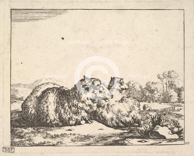 Sheep, from a set of 16 plates, 1664. Creator: Marcus de Bye.