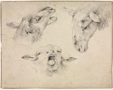 Sheep Heads, second or third quarter 1800s. Creator: Wouter Verschuur (Dutch, 1812-1874)