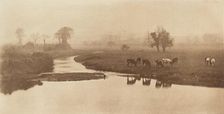 Sheep on the Marshes [Landscape with Cattle], 1890-1891, printed 1893. Creator: Dr Peter Henry Emerson