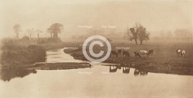 Sheep on the Marshes [Landscape with Cattle], 1890-1891, printed 1893. Creator: Dr Peter Henry Emerson.