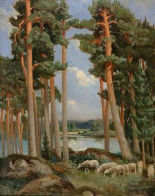 Sheep on the prowl. Creator: Aukusti Uotila