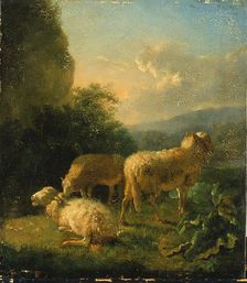 Sheep, late 18th-early 19th century. Creator: Balthasar Paul Ommeganck