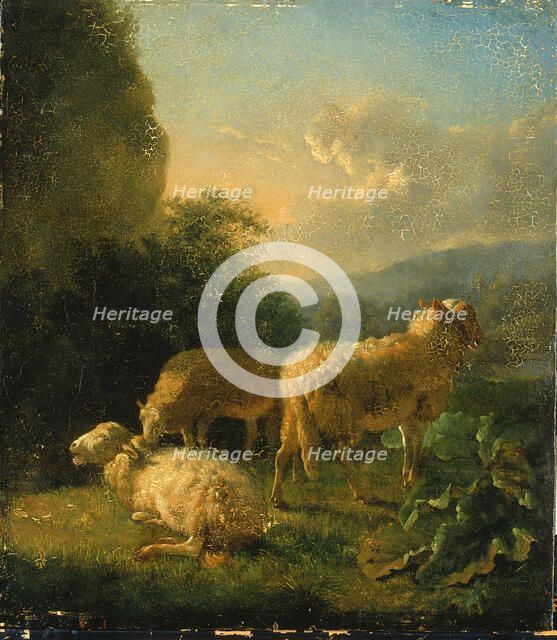 Sheep, late 18th-early 19th century. Creator: Balthasar Paul Ommeganck.