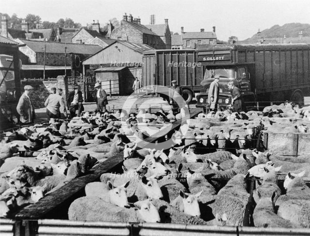 Sheep market, Bakewell, Derbyshire, c1950s-1960s(?). Creator: Unknown.