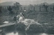 Sheep Shearing 1910. Artist: C Reid