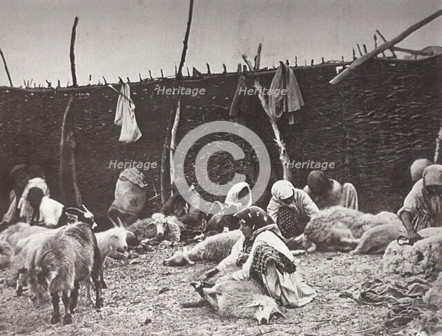 Sheep shearing, Russia, c1875-c1877. Artist: Ivan Boldyrev