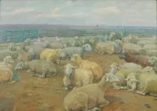 Sheep Park, 1904. Creator: Rudolf Konopa