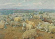 Sheep Park, 1904. Creator: Rudolf Konopa