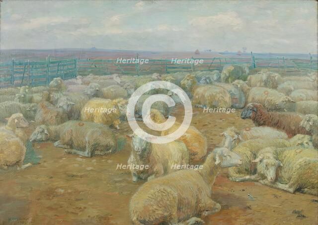 Sheep Park, 1904. Creator: Rudolf Konopa.