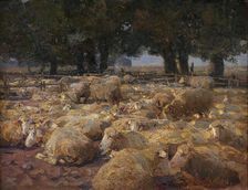 Sheep Park (Heidemoor), 1898. Creator: Heinrich von Zugel