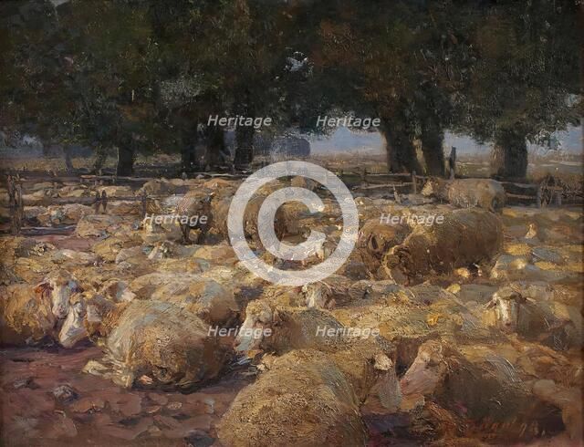 Sheep Park (Heidemoor), 1898. Creator: Heinrich von Zugel.