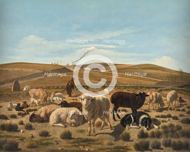 Sheep Resting in a Rush Bed, Outside the Atocha Gate, 1860. Creator: Mariano de la Roca y Delgado.