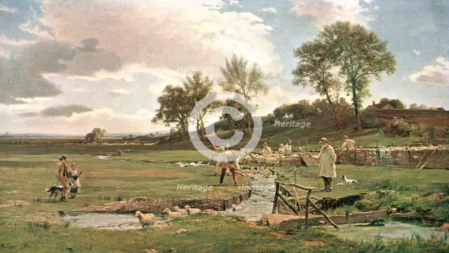 'Sheep-Washing in Sussex', c1889, (c1902). Creator: Unknown.