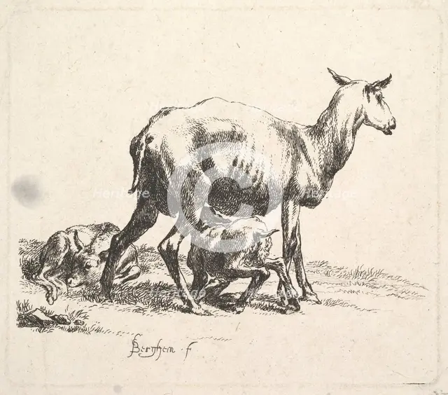 Sheep with Lamb Nursing. Creator: Nicolaes Berchem.