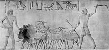 Sheep treading in seed, Ancient Egyptian tomb relief carving, c2000 BC