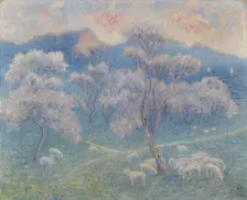 Sheeps and almond blossoms