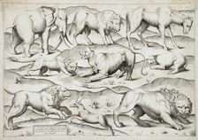Sheet of Animals, 1547. Creators: Antonio Lafreri, Enea Vico