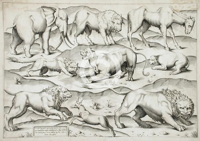 Sheet of Animals, 1547. Creators: Antonio Lafreri, Enea Vico.