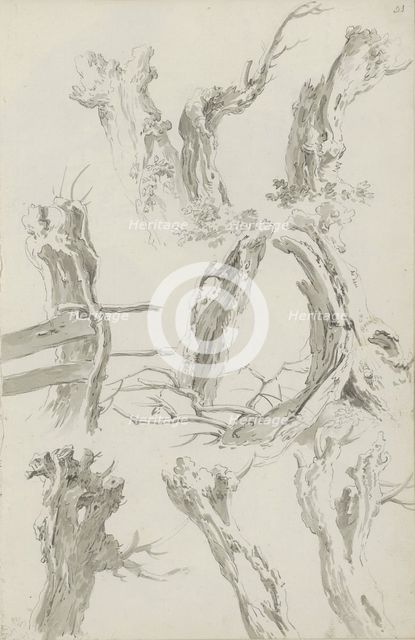 Sheet of sketches with pollarded willows, c.1780-c.1800.  Creator: Bernhard Heinrich Thier.