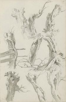 Sheet of sketches with pollarded willows, c.1780-c.1800. Creator: Bernhard Heinrich Thier