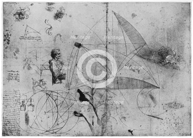 Sheet of studies, late 15th or early 16th century (1954).Artist: Leonardo da Vinci