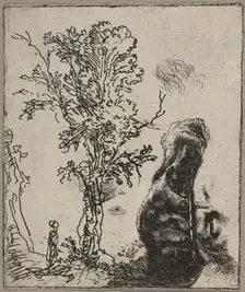 Sheet with Two Studies: A Tree and the Upper Part of a Head of Rembrandt Wearing a Vel..., ca. 1642. Creator: Rembrandt Harmensz van Rijn