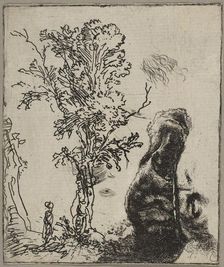 Sheet with Two Studies: A Tree and the Upper Part of a Head of Rembrandt Wearing a Vel..., ca. 1642. Creator: Rembrandt Harmensz van Rijn