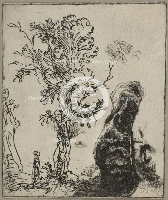 Sheet with Two Studies: A Tree and the Upper Part of a Head of Rembrandt Wearing a Vel..., ca. 1642. Creator: Rembrandt Harmensz van Rijn.