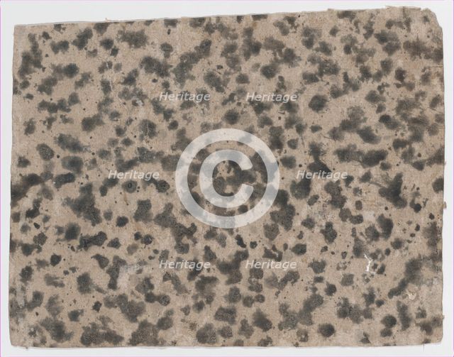 Sheet with an overall splotchy pattern, 19th century. Creator: Anon.