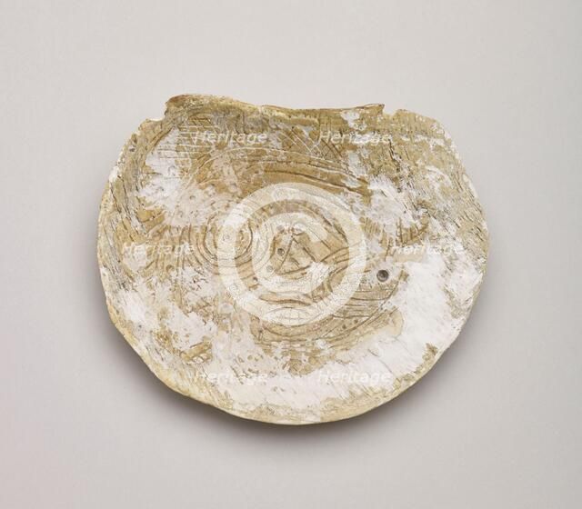 Shell gorget with incised rattlesnake design, 1200-1500. Creator: Unknown.