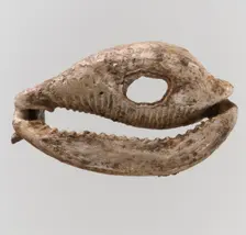Shell, Frankish, 6th-7th century. Creator: Unknown