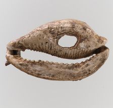 Shell, Frankish, 6th-7th century. Creator: Unknown