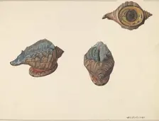 Shell Out Bank, c. 1938. Creator: William O. Fletcher