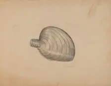 Shell Shaped Flask, c. 1940. Creator: Raymond McGough