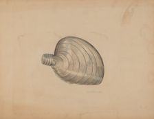 Shell Shaped Flask, c. 1940. Creator: Raymond McGough