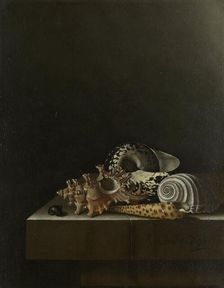 Shells on a Stone Plinth, 1698. Creator: Adriaen Coorte