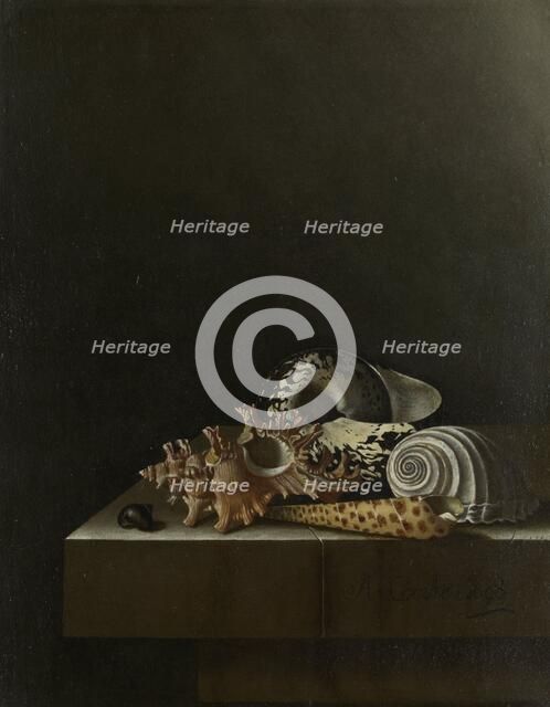 Shells on a Stone Plinth, 1698. Creator: Adriaen Coorte.