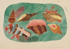 Shells in Seaweed. Creator: Mary Altha Nims (American, 1817-1907)