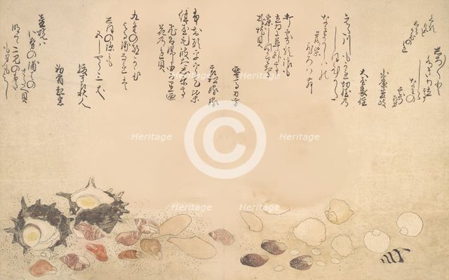 Shells under Water, 1790. Creator: Kitagawa Utamaro.