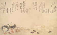 Shells under Water, 1790. Creator: Kitagawa Utamaro