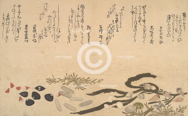 Shells under Water, 1790. Creator: Kitagawa Utamaro.