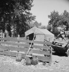 Shelter in one of the large shacktown communities around Yakima, Washington, Sumac Park, 1939. Creator: Dorothea Lange