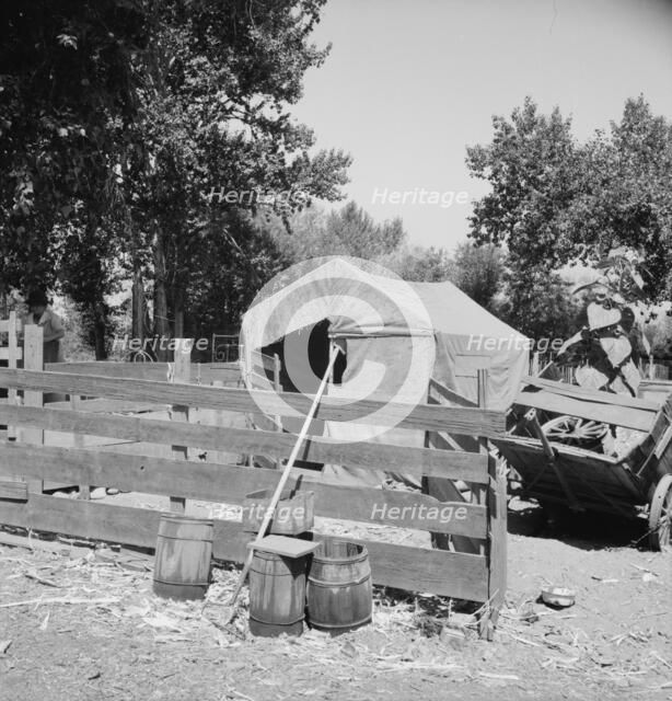 Shelter in one of the large shacktown communities around Yakima, Washington, Sumac Park, 1939. Creator: Dorothea Lange.