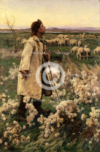 Shepherd, 1884. Creator: Gaines Ruger Donoho.