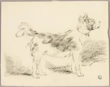 Shepherd Dog, n.d. Creator: Unknown