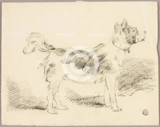 Shepherd Dog, n.d. Creator: Unknown.