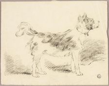 Shepherd Dog, n.d. Creator: Unknown